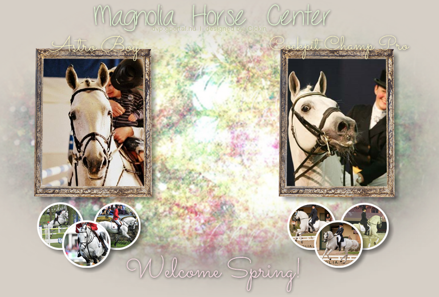 • Magnolia Horse Center